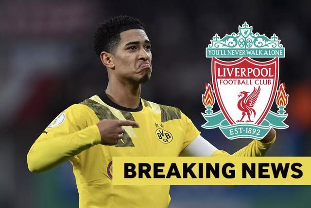 新生代骑手展锋芒！2025中国自由式小轮车联赛（深圳•光明站）收官（新锐骑手崭露头角！2025中国自由式小轮车联赛深圳光明站圆满落幕）